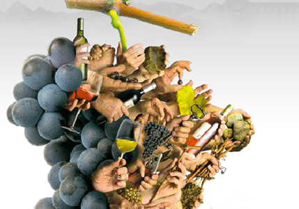 Les vieilles vignes en Saint-Mont sont classées parmi les plus vieilles vignes de France.