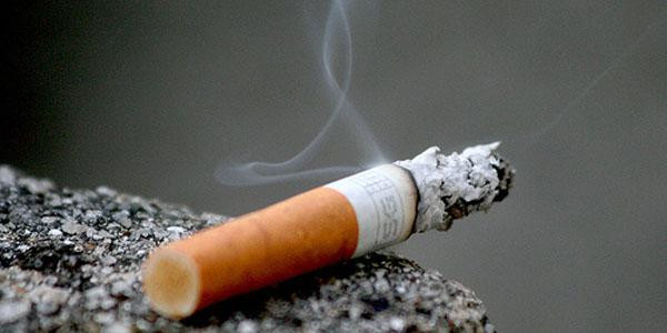 Au Canada, 15% des biens immobiliers sont habités par des fumeurs, selon l'étude.