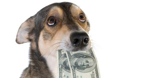 Parmi les excuses les plus étranges, on retrouve "Mon chien a mangé l'argent du loyer"