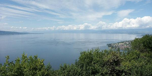 Le lac Léman, situé entre la Suisse et la France.
Par sa superficie (581,3 km²), c'est le plus grand lac naturel d'Europe de l'Ouest.