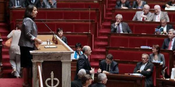 La ministre du Logement Cécile Duflot défendant son projet de loi à l'Assemblée nationale.