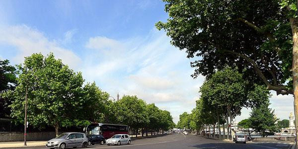 Le quai d’Orsay est un quai situé sur la rive gauche de la Seine dans le 7e arrondissement de Paris, allant du pont de la Concorde au pont de l'Alma.