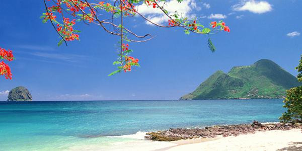 La Martinique aussi surnommée « l’île aux fleurs »2, est une île des petites Antilles.