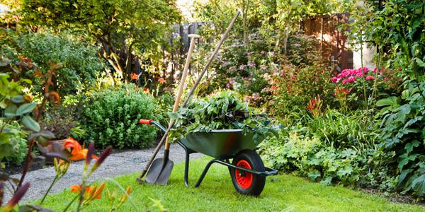 Le jardinage représente 12% des dépenses de bricolage