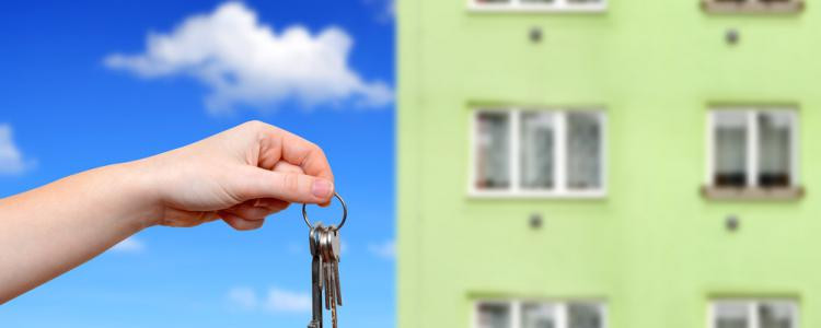 Achat immobilier : comment choisir entre une maison et un appartement ?