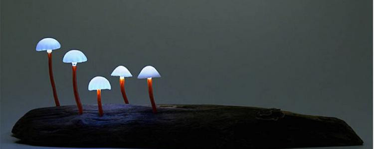 Le designer japonais Yukio Takano a créé une collection de luminaires en forme de champignons