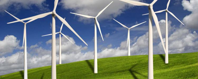 Les industriels de l'éolien se sont réjouis de la décision des députés