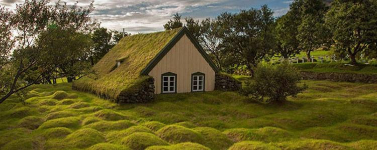Maison avec un toit végétal