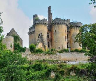 À vendre, magnifique château dans le Périgord pour 50 euros