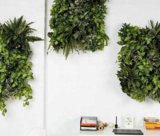 Des idées déco originales pour un mur végétal intérieur