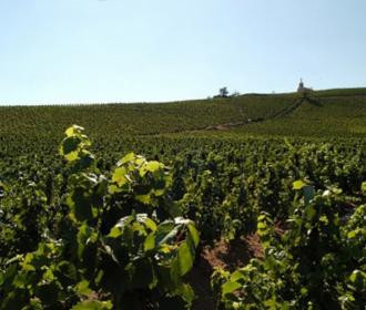 Le Beaujolais, premier vignoble du monde à obtenir le titre de “Géoparc mondial de l’UNESCO”