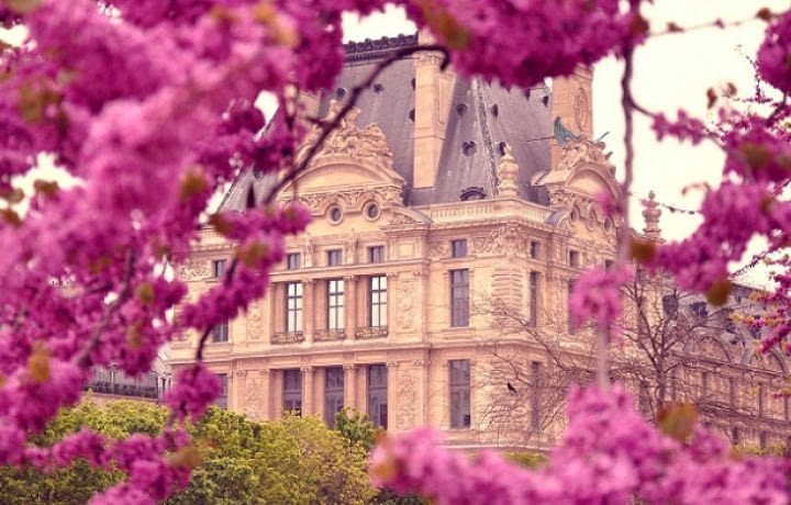 Achat immobilier de luxe : Paris fait battre le cœur des riches acheteurs